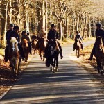 Traumtruppe bei Traumwetter